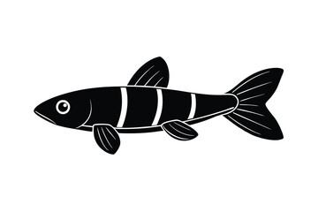 illustration of a  otocinclus fish