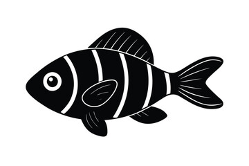 illustration of a tilapia fish