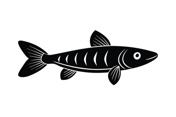 illustration of a pike fish