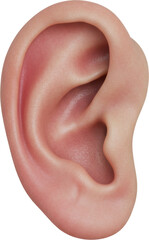 Naklejka premium human ear listening, listen, face part, skin and anatomy, isolated transparent png