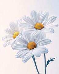 Naklejka premium Three Delicate White Daisies on a Soft Background A Pure Floral Image