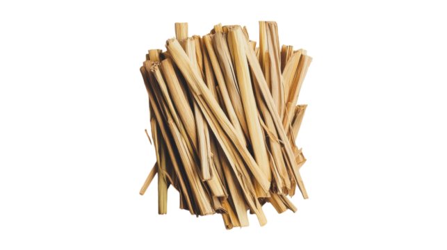 Natural bundle of dried grass stems gathered for crafting or decorative purposes outdoors