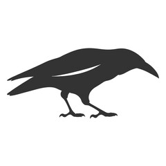 Raven Silhouette Illustration, Black Bird Sketch, Isolated