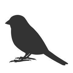Sparrow Silhouette Illustration, Small Bird Sketch, Isolated
