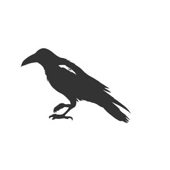 Raven Silhouette Illustration, Black Bird Sketch, Isolated