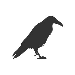 Sparrow Silhouette Illustration, Small Bird Sketch, Isolated