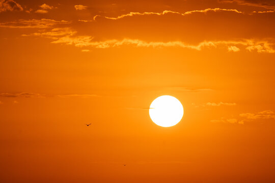 Sun falling in an orange sunset
