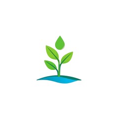 Obraz premium Green Sprout Growing with Water Drop: A simple, minimalist logo design featuring a green sprout with three leaves growing from the ground, with a water drop symbolizing growth and sustainability.
