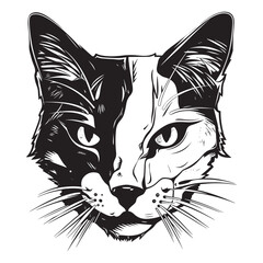 Cat icons collection