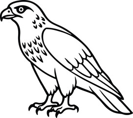 Eagle Line Art Vector illustration for Kids Coloring Book