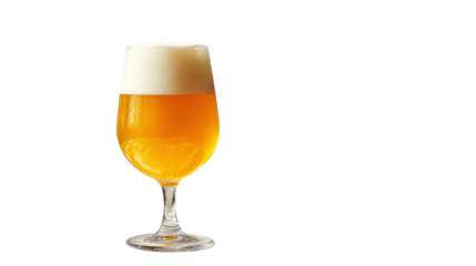 A refreshing golden beer in a stylish glass with a frothy head against a minimalist background