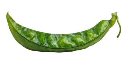 Unique green pod showcasing intricate textures, perfect for culinary inspiration or gardening