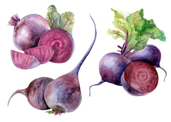 Set of bright beets with leaves and sliced ​​pieces. Watercolor illustration, hand drawn and isolated on white background. Elements for label, packaging, card design.