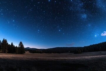 Serene night sky over a tranquil landscape. Dark silhouettes of trees against a vibrant backdrop of stars.