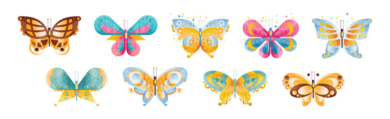 Colorful Butterfly with Wings and Antenna Vector Set