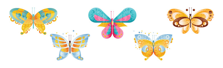 Colorful Butterfly with Wings and Antenna Vector Set