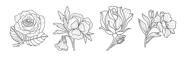 Blooming Flower and Lush Garden Flora Line Vector Set