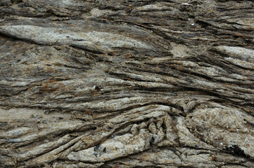 Pollution des rivage, bord de mer. Locmiquélic, Lorient, 56, Morbihan, France