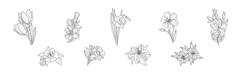 Blooming Flower and Lush Garden Flora Line Vector Set