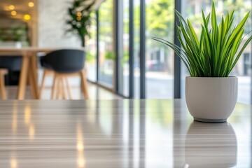 Fototapeta premium Modern cafe interior with potted plant on glossy table