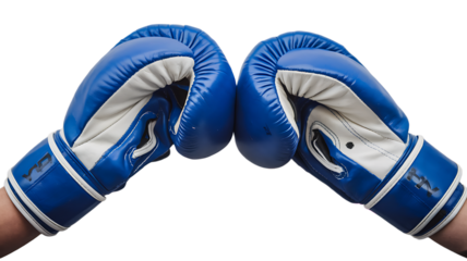 Blue and white boxing gloves