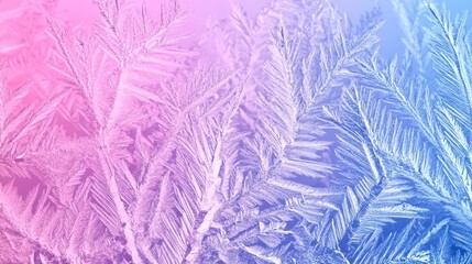 Stunning Ice Patterns on a Frozen Window: A Winter's Day