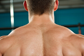 Muscular back of bodybuilder showcasing strength