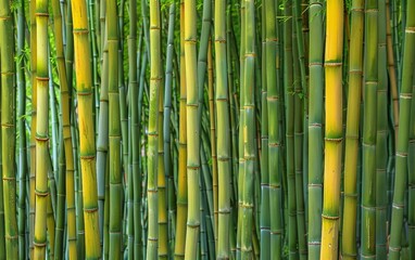 A dense bamboo forest with tall swaying stalks creating a peaceful atmosphere