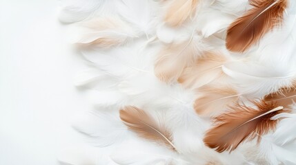 Obraz premium Delicate arrangement of soft, light-feather texture in white and brown shades on a clean, minimalist background for creative design projects and nature themes.