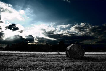 bela siana  © Stefan