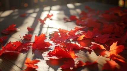 
Autumn background scene with red maple leaves on table with sunlight. Natural seasonal home decor for fall season, thanksgiving and holiday showroom.