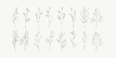 Set of hand drawn flowers, branches and leaves in line art style. Collection of sketches of botanical elements. Vector illustration for tattoo, wedding invitation, wallpaper, save the date card.