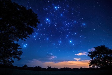Fototapeta premium Serene night sky filled with bright stars above silhouetted trees.