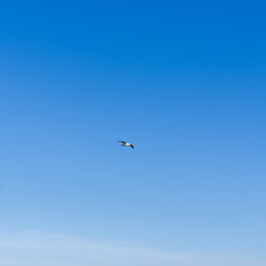 Background, texture with image of sky with clouds