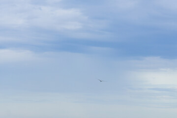 Background, texture with image of sky with clouds