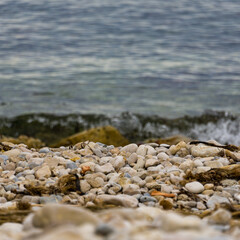 Rock texture background on the beach