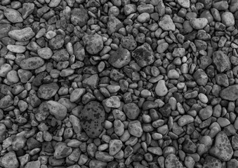 Rock texture background