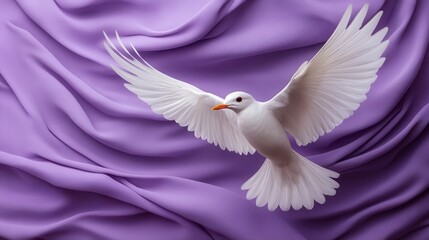 Fototapeta premium White dove in flight against purple fabric.