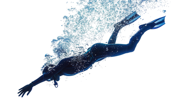 A Diver Performing a Dive on a White Background Isolated on Transparent Background PNG