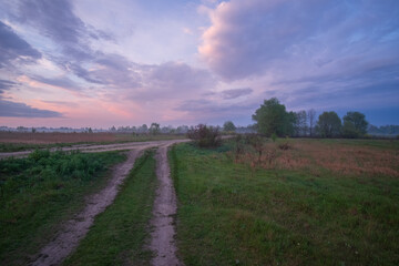 Obraz premium landscape with field