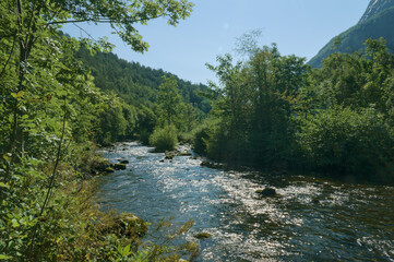 Fototapeta premium Peaceful river winding through a lush, green forest under a clear blue sky.