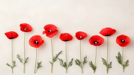 Minimalistic arrangement of red poppy flowers with green leaves on a light beige background. Concept of natural beauty, simplicity, and floral elegance.