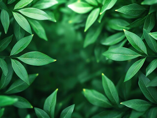 Lush green foliage with soft lighting creates serene and vibrant natural atmosphere