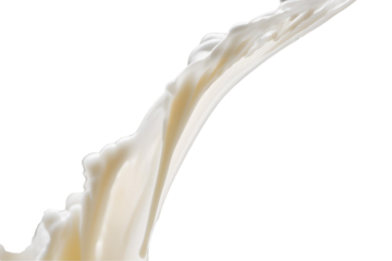 Frozen Moment: Milk Cascade Splattering Elegantly Isolated on White Canvas