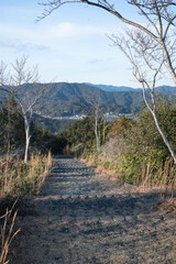 晴天の南海展望公園
