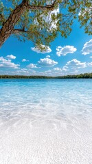 A lone tree on the shore of a body of water