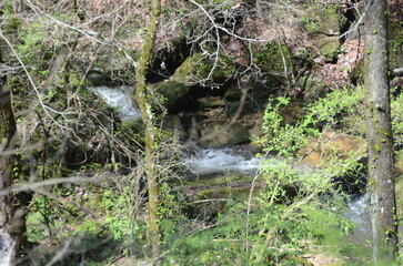 waterfall in the woods