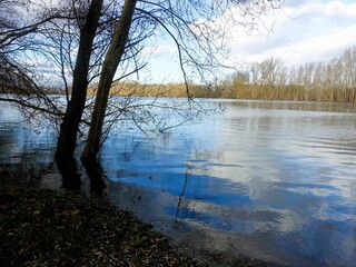 Serene riverside scene with reflections
