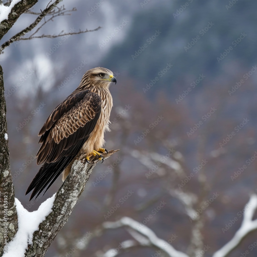 Poster a bird sitting on a tree branch surrounded by snow