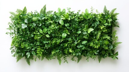 Obraz premium Decorative panel with artificial foliage, isolated on white.